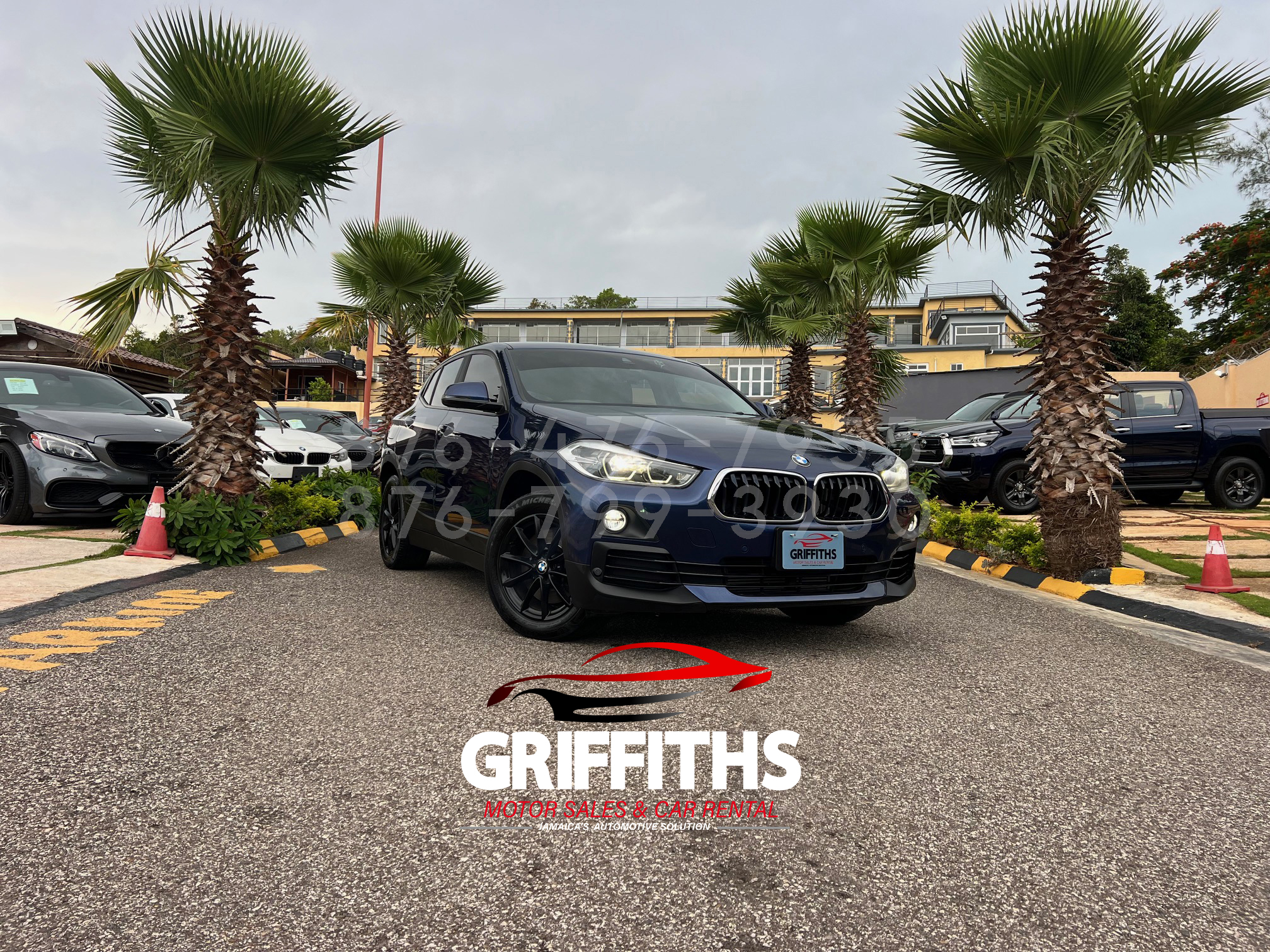 BMW X2